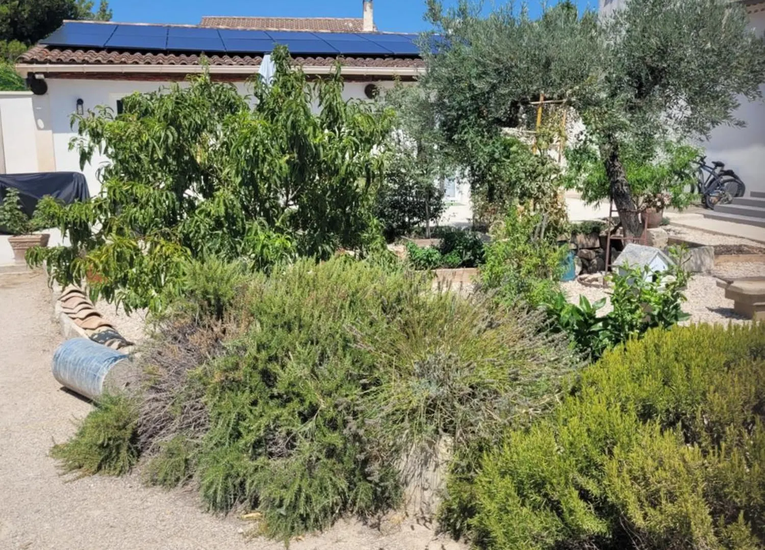 Maisonnette Avec Piscine La Picholine Châteaurenard